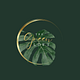 The Green Loft logo