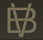 BVenue logo