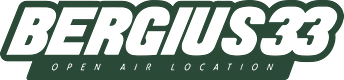 BERGIUS33 logo