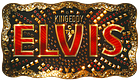Elvis (a)live – Die Gänsehautshow logo